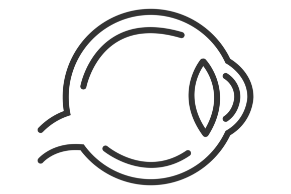 A Practical Review of the Eye Icon for Embroidery Projects
